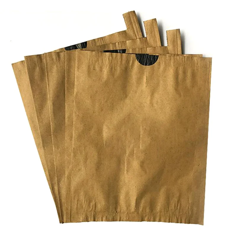 Paper Mango Protection Bag