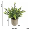Thorn cypress without powder ahe364-069