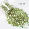 FT02-13