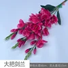 Large bunch of gladiolus YM light rose red