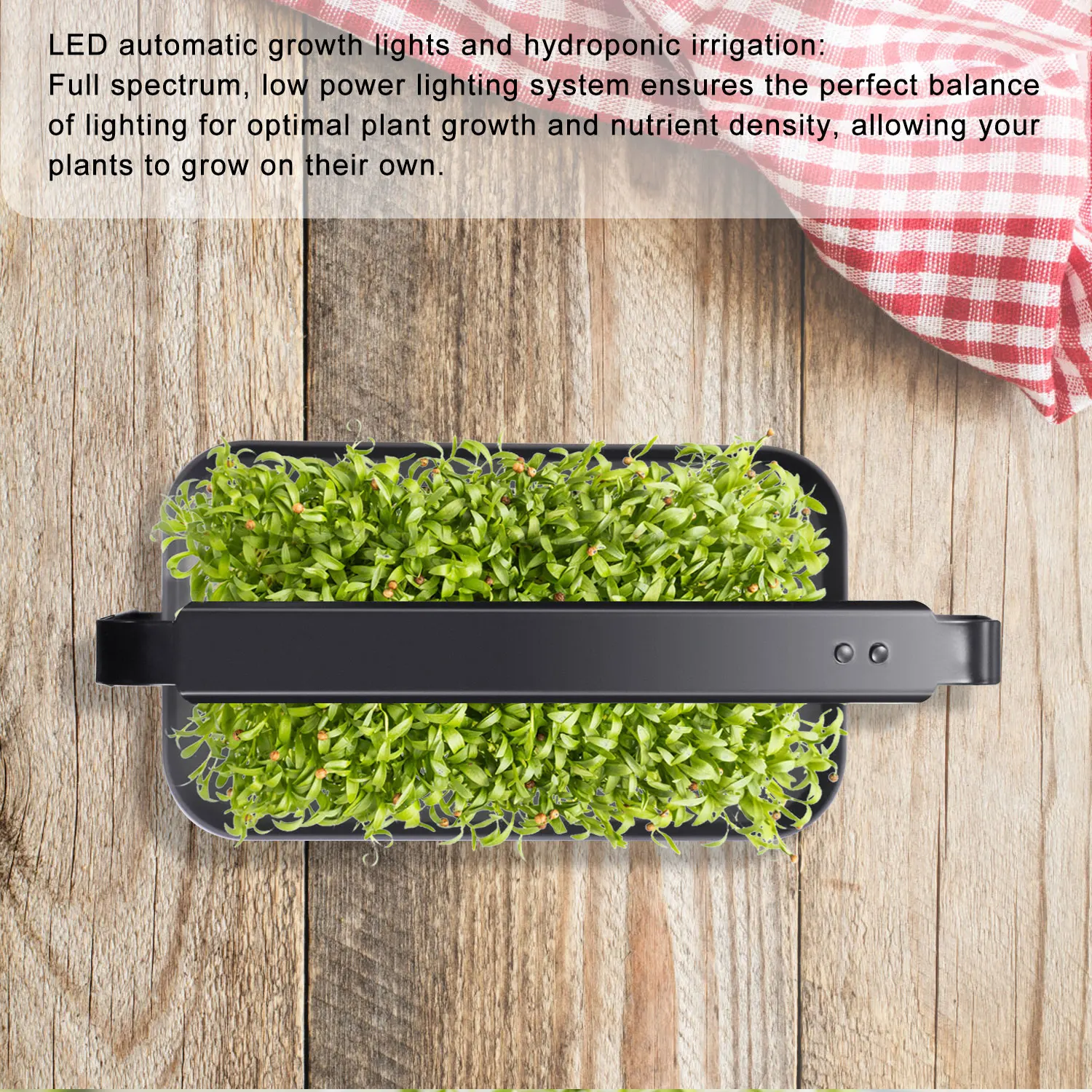 Garden Sarter Kit Smart Lettuce Hydroponics Lettuce Grow Indoor Kit