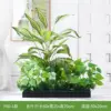 F60-1 60*25cm flower troughs