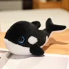 SKU-6