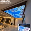 Blue Sky ceiling
