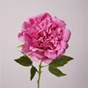 rosa caldo