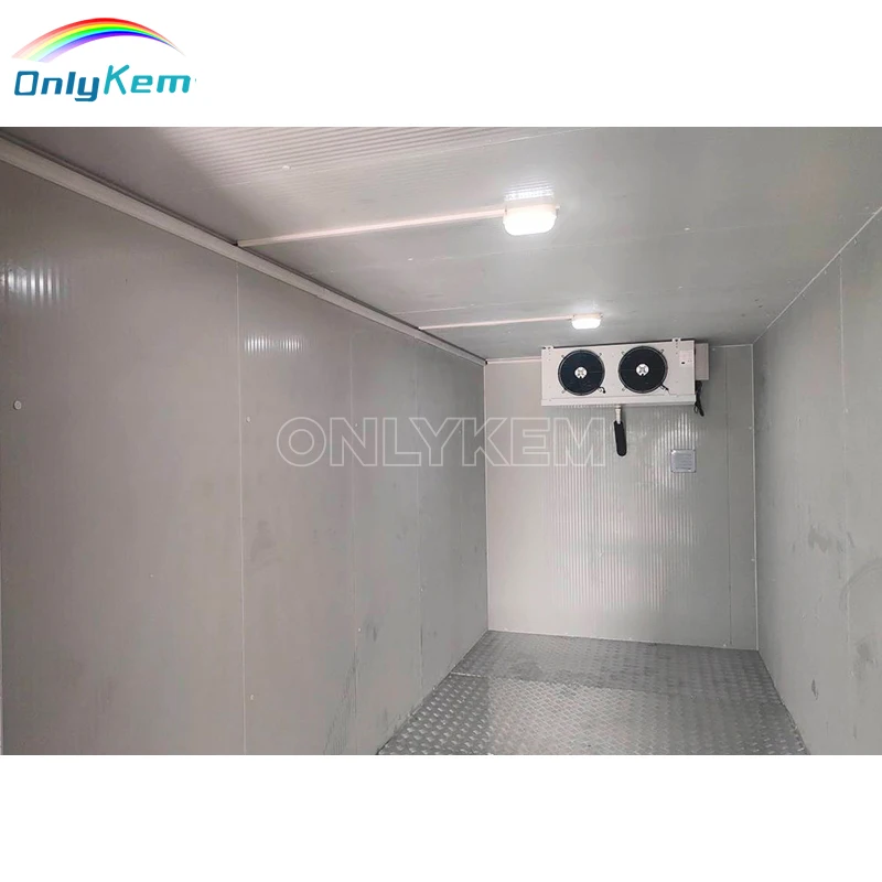 Cooling Container Freezer Container Walk in Freezer Cooler Room for Sale