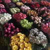 82 rosas aleatorias - a prueba de daños - conservante importado