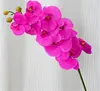Viola intenso