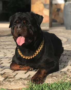 thumbnail image 2 of Heavy Duty Stainless Steel Cuban Link Dog Chain Collar - Thick Adjustable For Pitbull, Rottweiler, Lab (Gold/Silver) 2 of 5