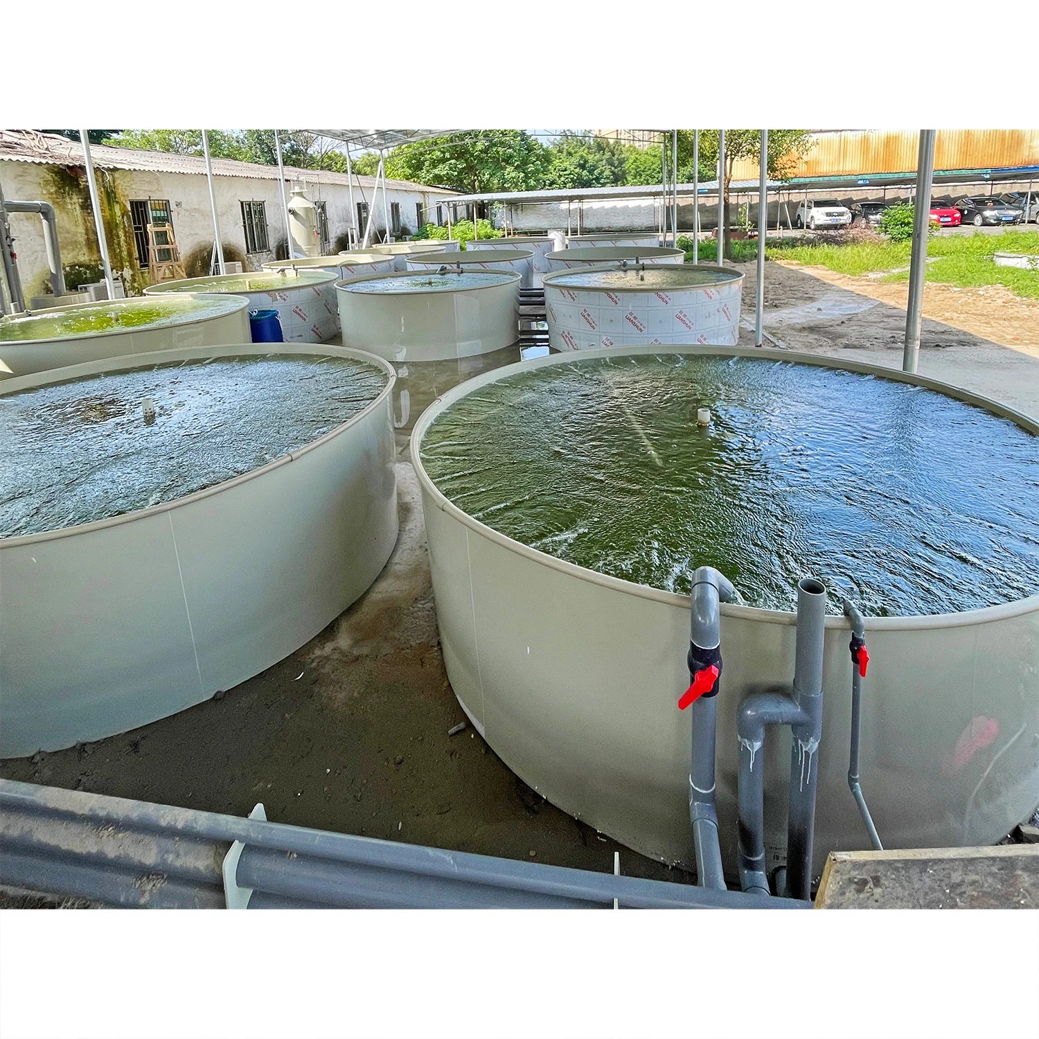 Industrial Ras Aquaculture Farming Fish Farming Machine Tilapia Recirculating Aquaculture System Pisciculture Equipment