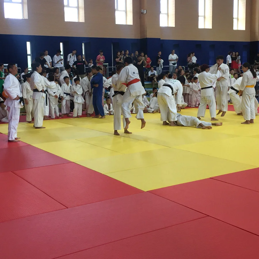 Татами Judo