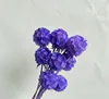 สีม่วง