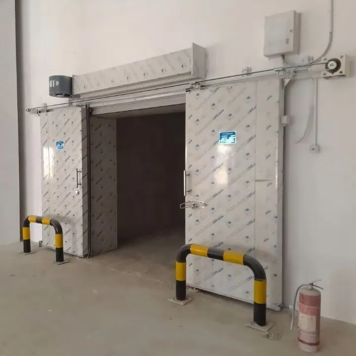 Customizable cold storage door solutions for various cold storage projects