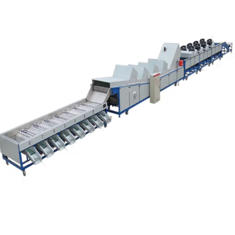 Plum Grading Machine Fruit Sorting Machine Fruit Sorter Prunes Sorting Size Machinery