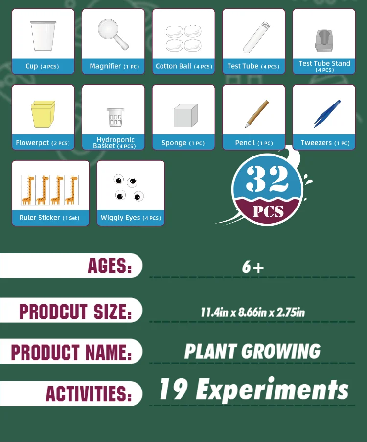 A Comprehensive Collection Educational Science Grow House Planting Kit