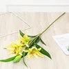 Narcissus lily-yellow