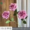 3-Headed Goddess Rose WY Deep Pink