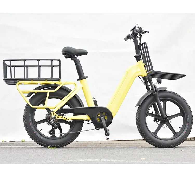 Hidden 2024 dual-battery new durable 20-inch delivery multifunctional super-endurance e-bike for fun