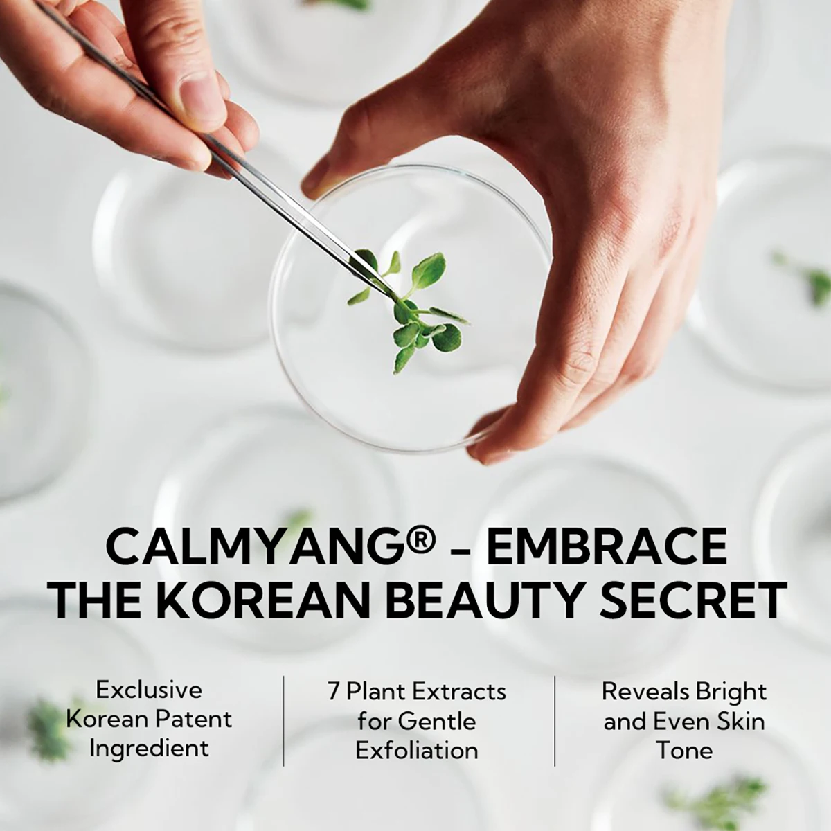 LANBENA Facecare Exfoliating Spray Korean Skin Care for All Skin Types with Natural Aloe Vera Extract