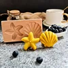 Concha de estrella de mar