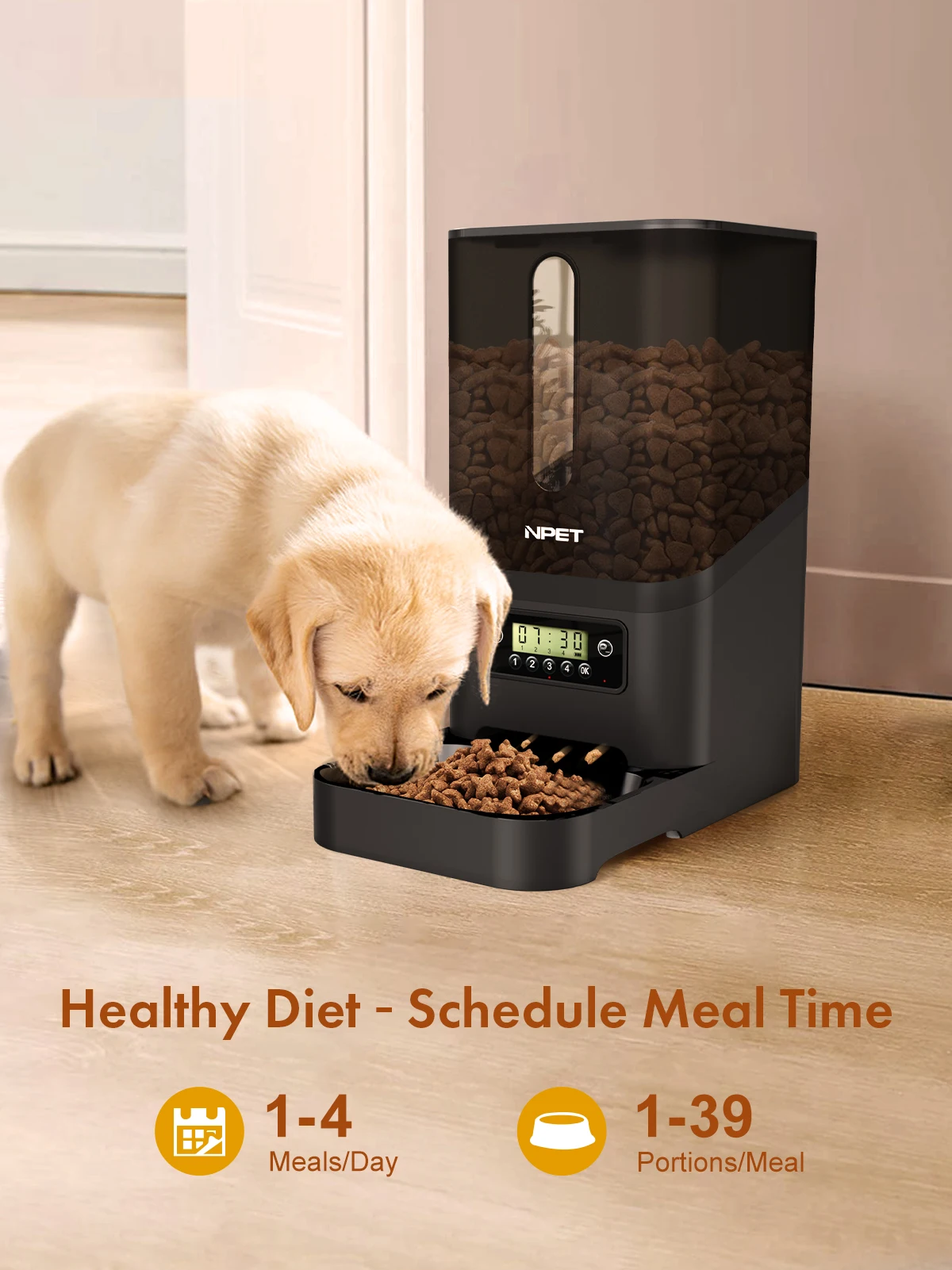 Remote Timing Control One Click Feeding Smart 6l Pet Feeder For Cat And