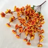 สีส้ม
