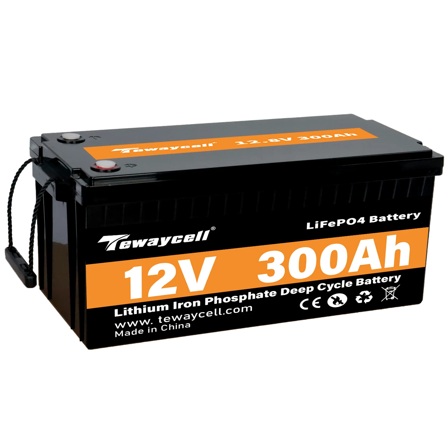 Tewaycell High Capacity LiFePO4 Battery Pack 12V 24V 36V 48V 50ah 100ah 150ah 200ah 300ah for Golf Cart