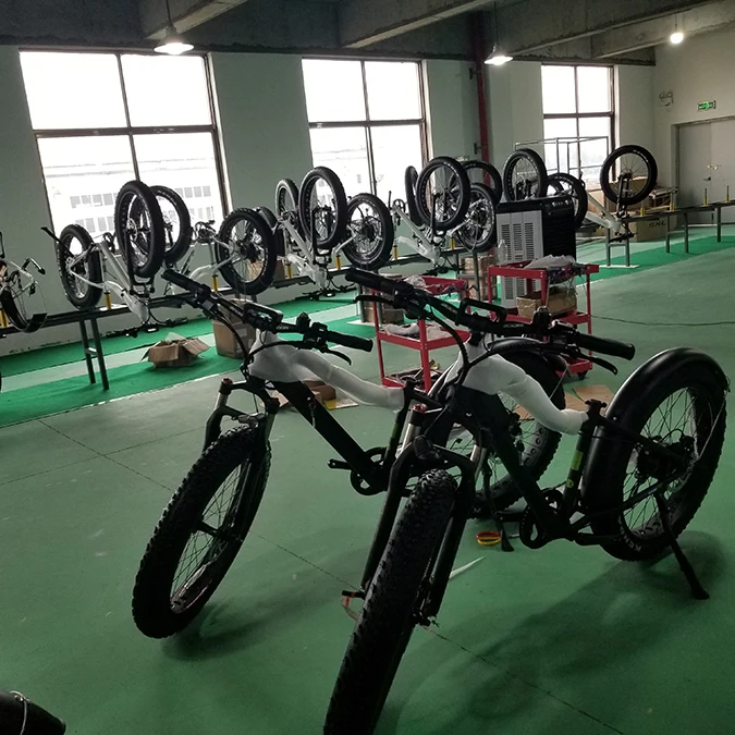 Zhejiang Eshion Electric Technology Co., Ltd. 3