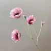 Opale rose