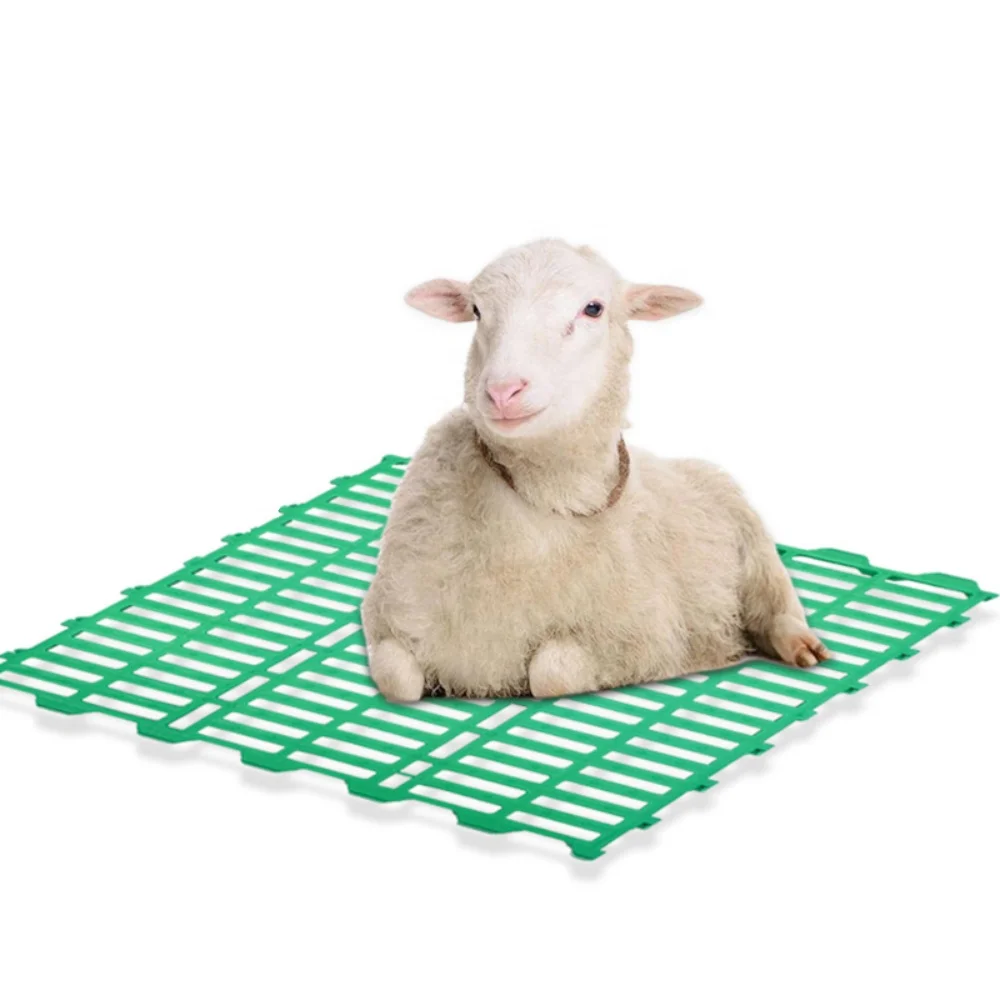 Пластиковый Напольный козий настил для продажи с дизайном