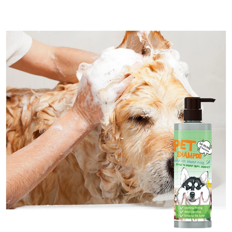 can i wash my dog with lice shampoo