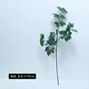 Una sola rama, 1 verde