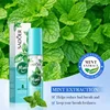 Menta