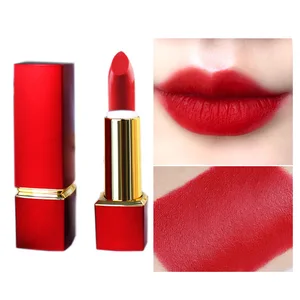 Premium Matte Gel Lipstick Set with Natural Herbal Ingredients Waterproof ODM Wholesale Beauty Lipstick Pencil
