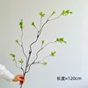 Extra-long branches and green leaves