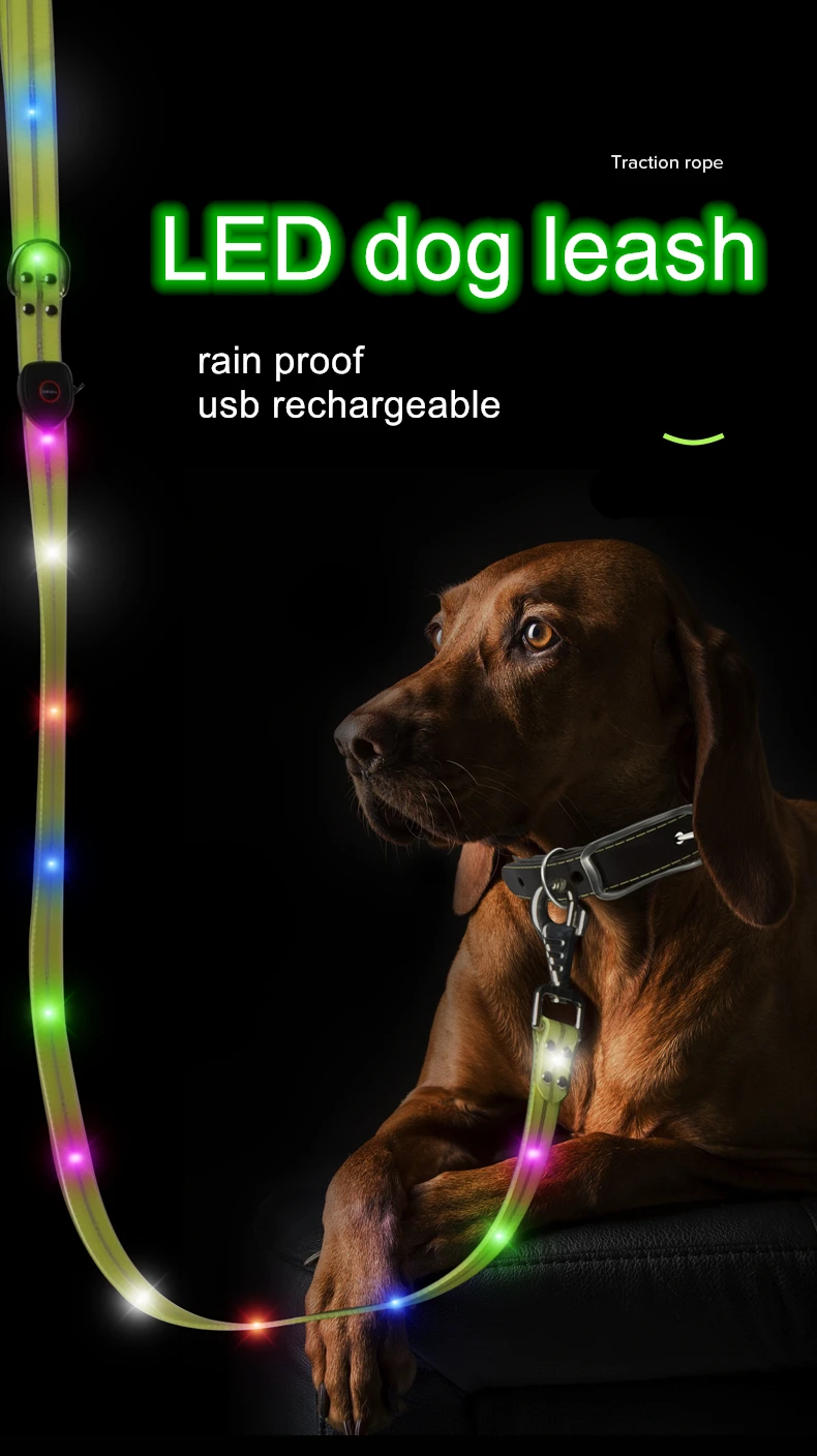 Usb Rechargeable Flashing Light Waterproof Luminous Safety Light Pet