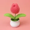 Rose Red Tulip pot