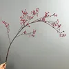 Large rose hips, red