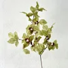 [14]Feuilles d'oiseaux verts