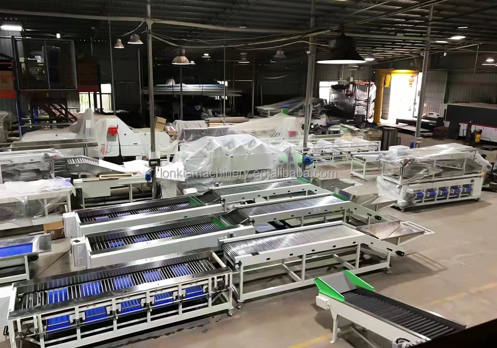 Vegetable Sorting Machine factory