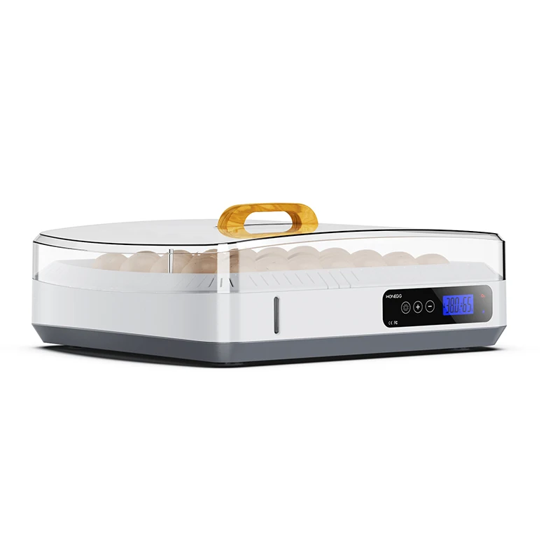 HHD Full Automatic Incubator Fish Hatchery Equipment Automatic with Tray Egg JJC-35