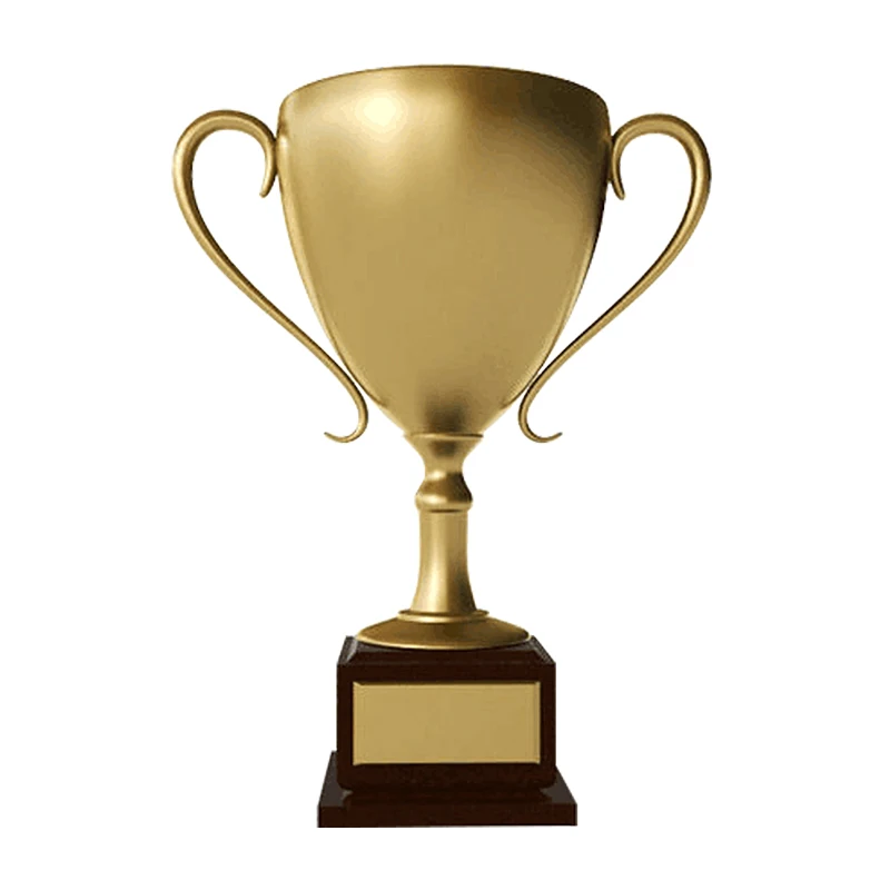 TROPHY CUP AWARD 3 SIZES AVAILABLE ENGRAVED FREE EMBLEM SILVER CUPS TROPHIES 