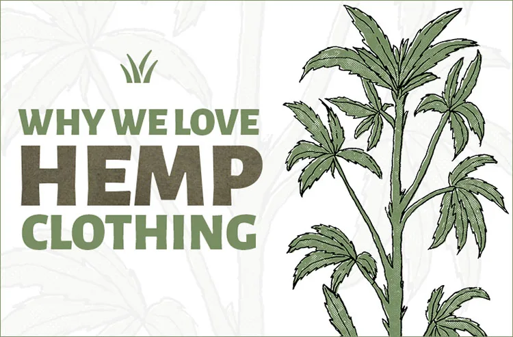 hemp spring.jpg