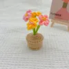 Nomeolvides coloridos listos para plantar