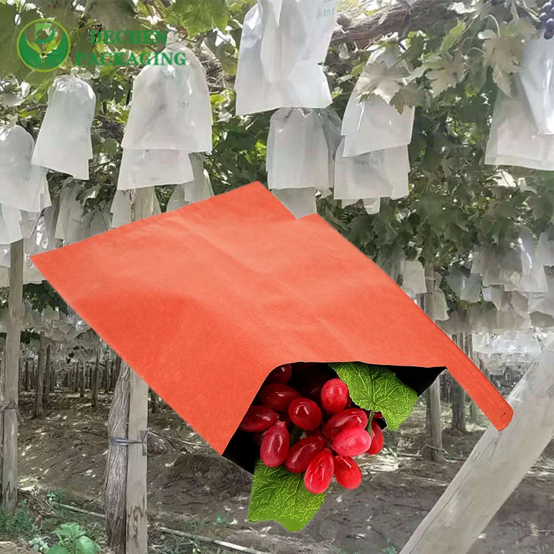 Grape Protection Biodegradable Fruit Bags In Peru Chile