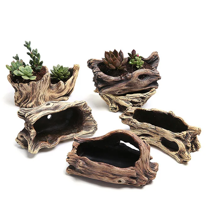 planting arborvitae in pots Spring Grove® Western Arborvitae main image 0