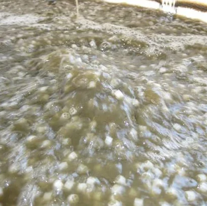 Floating Biocell Plastic Bio Media MBBR K1 K3 K5 Filter Media for Wastewater Treatment