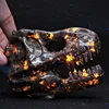 Tête de dinosaure Yooperlite