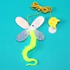 Colorful Dragonfly