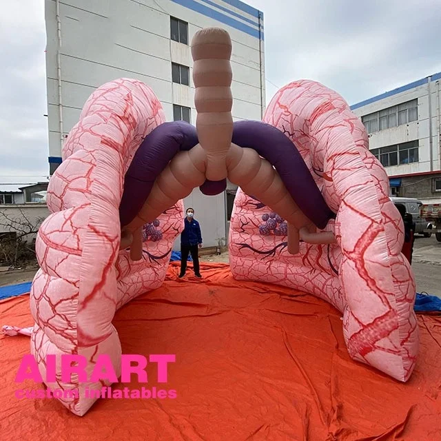 Realistic Human Organ Inflatable Lungs Balloon,Air Blow Up Education